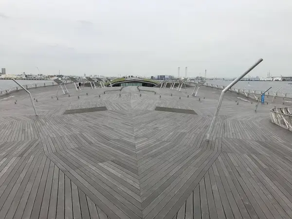 くじらの背中上部