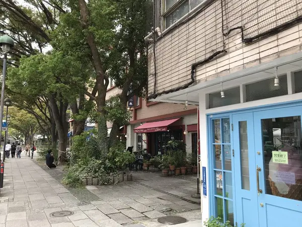 街路樹との相性抜群