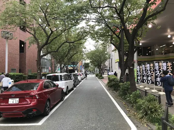関内さくら通り