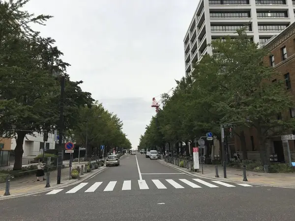 横浜公園からの日本大通