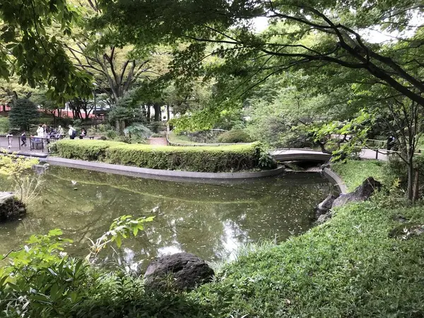 西洋式公園の中の日本庭園