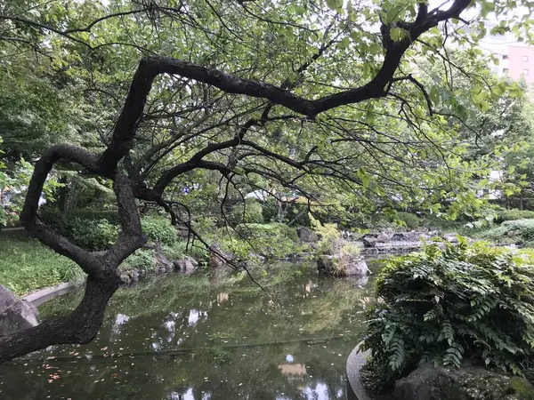 街もカオスなら公園もカオスw