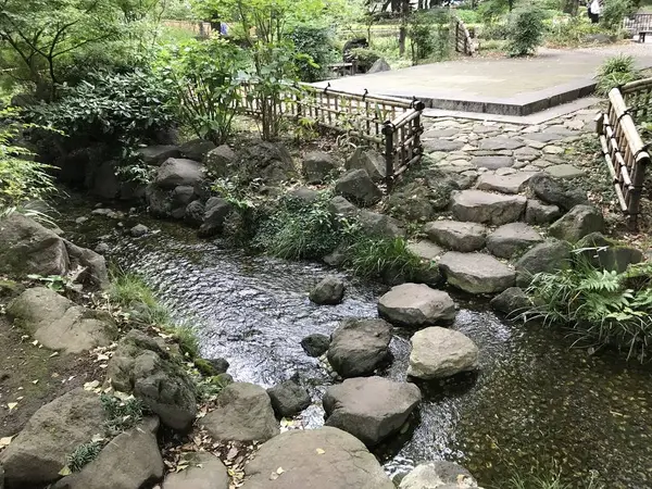 池の水が綺麗