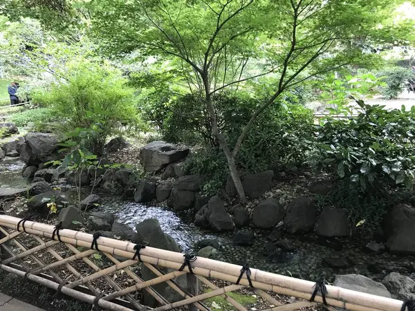 蚊も多いです。