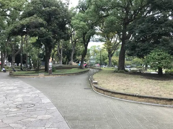 チューリップは見ものです。