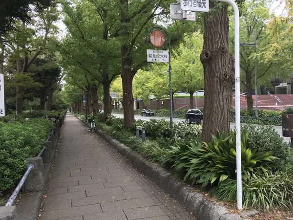 異国の街並みのようです。