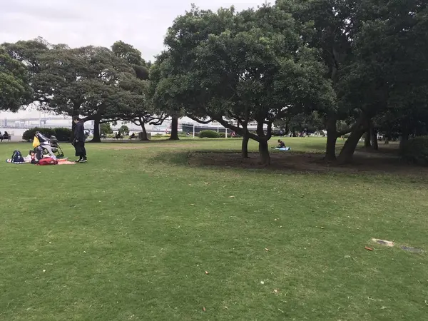 広大な芝生です。