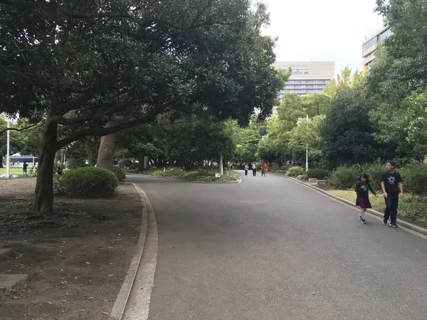 木々に覆われた公園