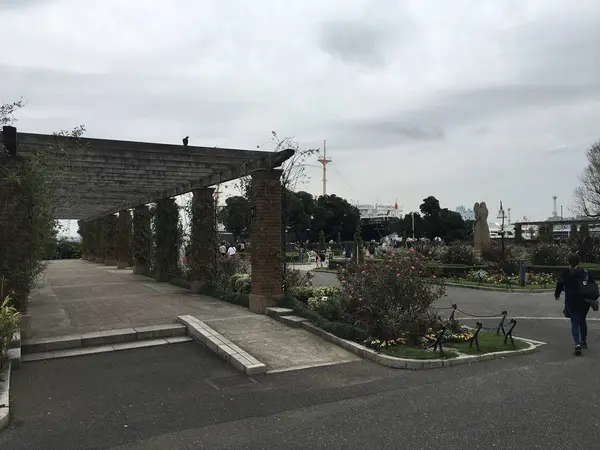 花が咲き誇ってます。