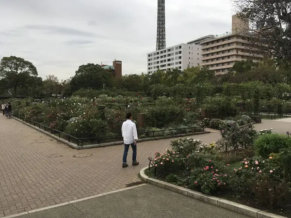 山下公園バラ園