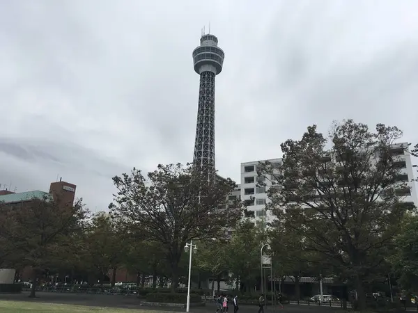 マリンタワーも寄って見ましょうかね^_^