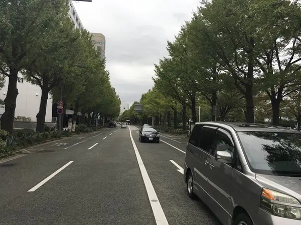 イチョウ並木