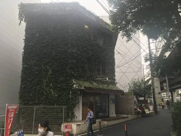 蔦の絡まる・・・