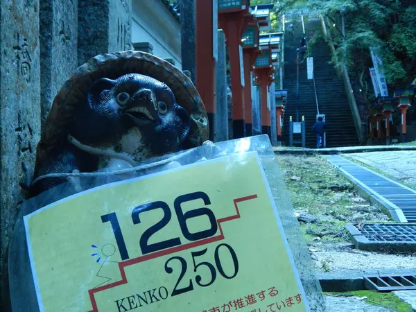 タヌキさん、ありがとう✨