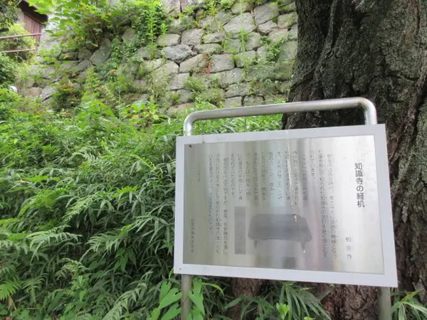 知識寺