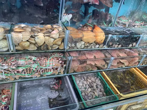 生簀から食べたいものを