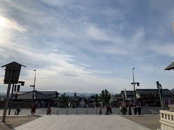 松の参道