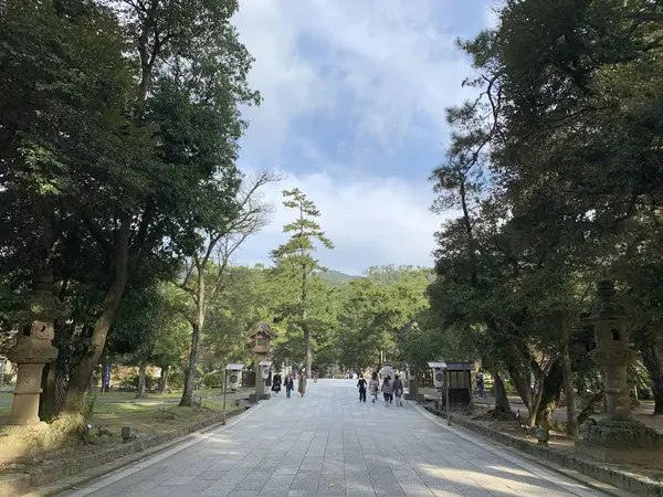 松の参道