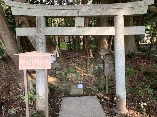 松の参道