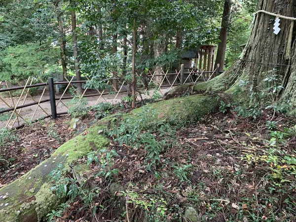 須佐神社