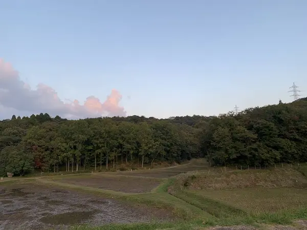荒神谷遺跡