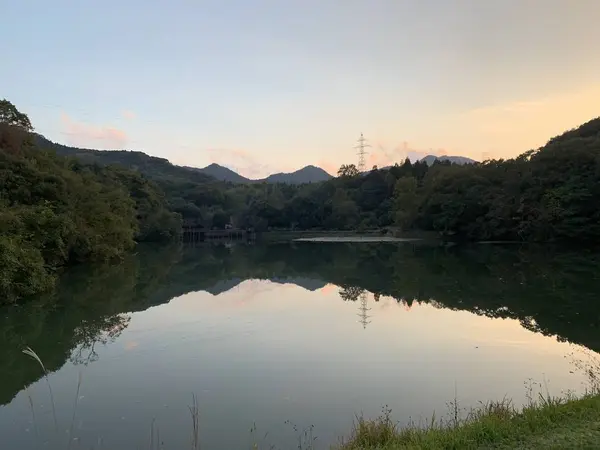 荒神谷遺跡