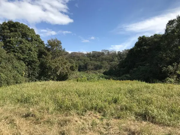 危険な害獣は居ません。