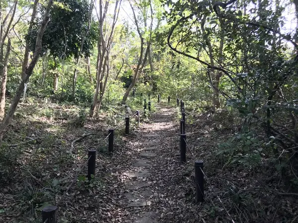 自然に任せた管理