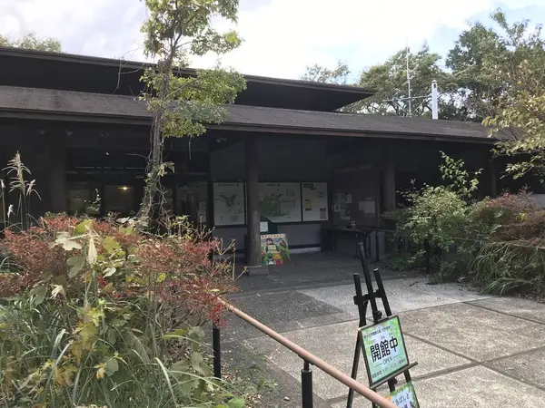 入り口からは一直線