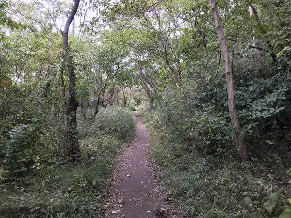 微妙に登り道