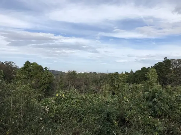 展望台に到着。