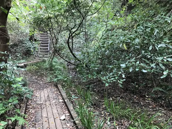 振り返って階段を見るw