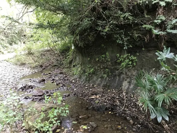 川のせせらぎが心地よい