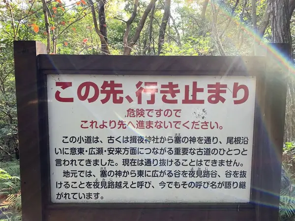 伊賦夜坂