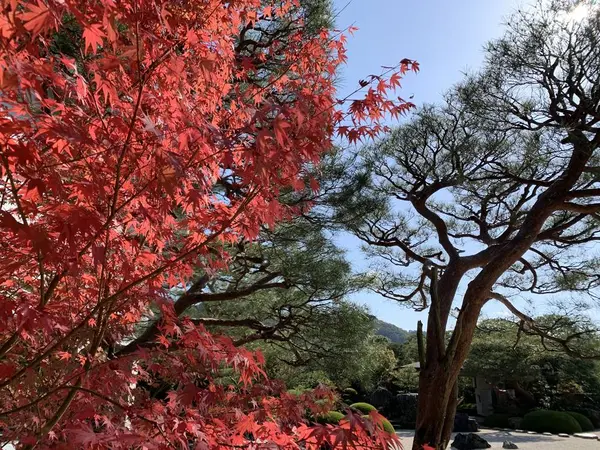 足立美術館庭園