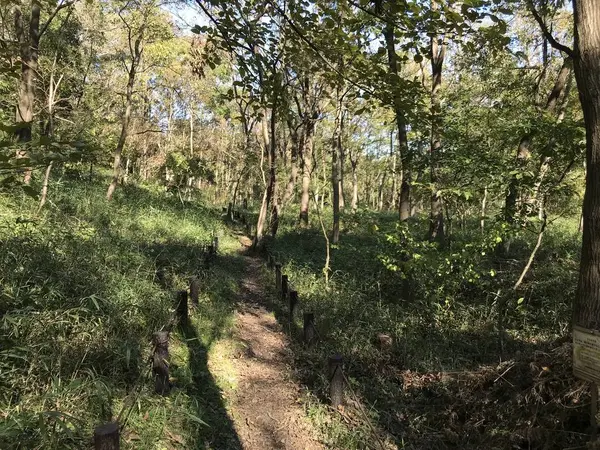 最後の合流点までの道