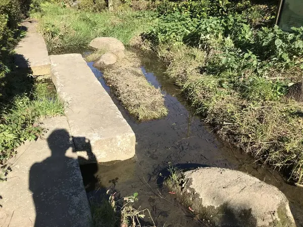 親水公園の趣き