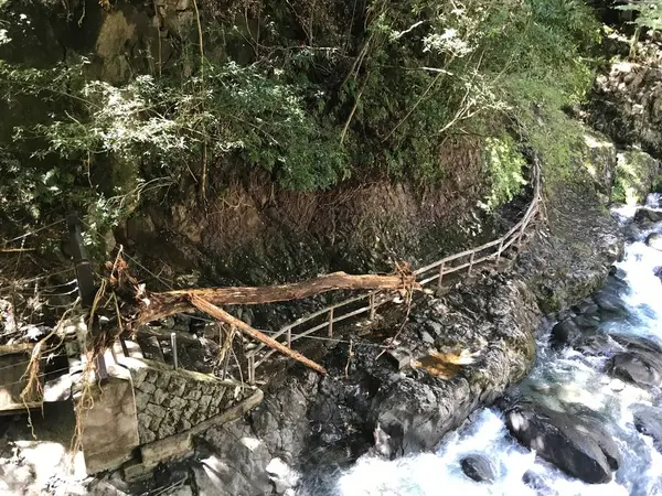 台風15号の爪痕