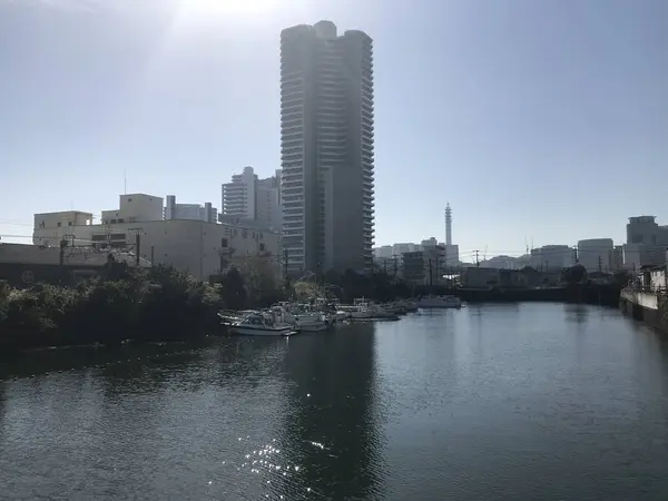 コットンハーバー地区