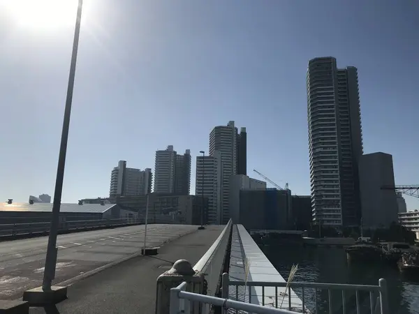 海側からだんだんと高くなるビル群