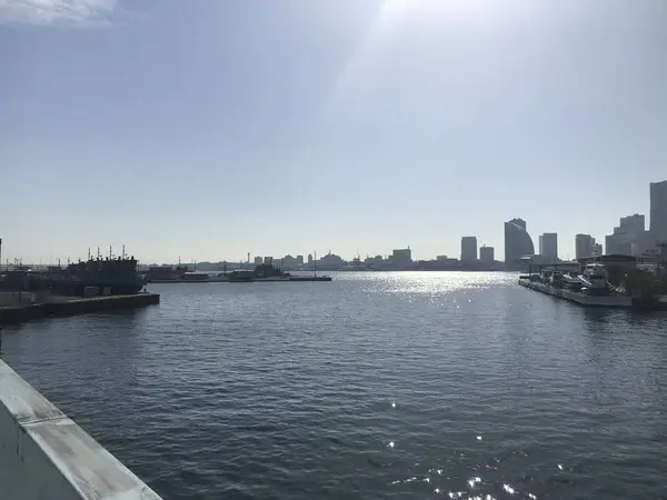 海がキラキラと