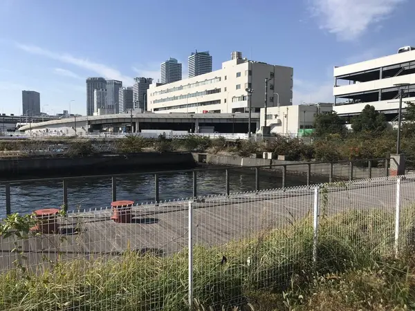 可能な限り近づいてみた。