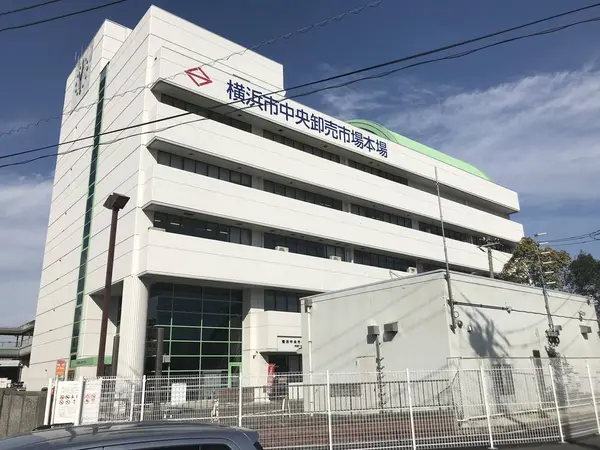 横浜中央卸売市場