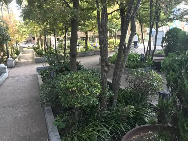 何気ない公園