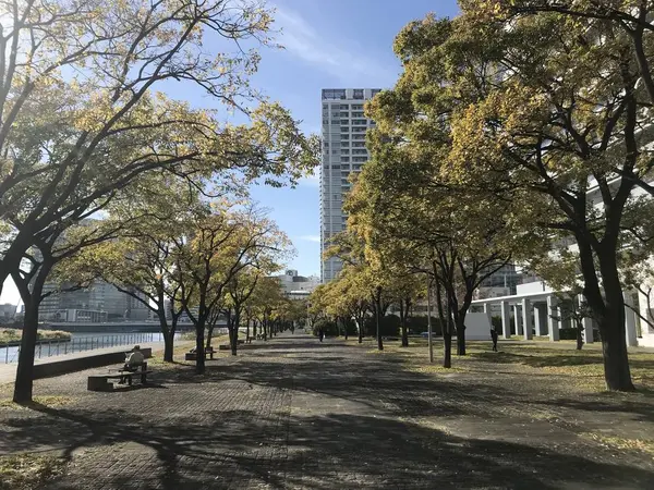 海風が心地よい公園