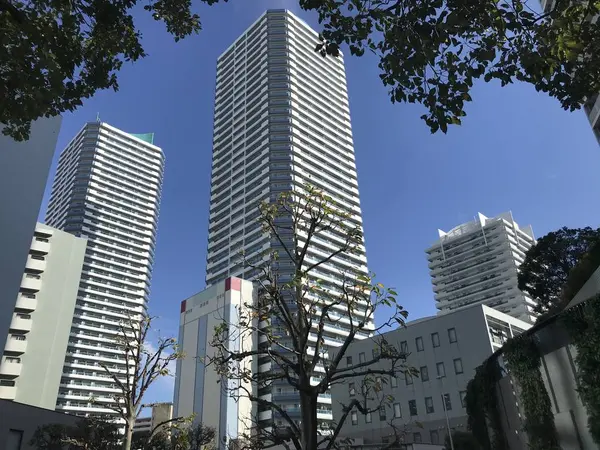 ポートサイド地区最高峰w
