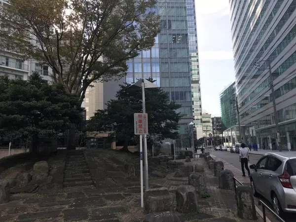 イミフな木w