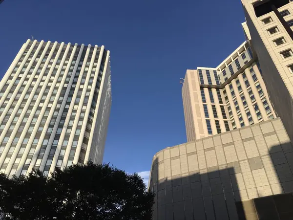 西口の高層ビルです。