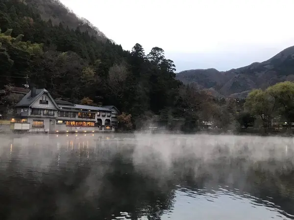 朝霧が出ています。
