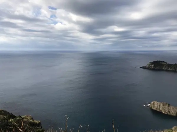 めちゃくちゃ高い